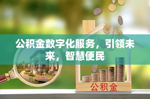 荆州公积金数字化服务，引领未来，智慧便民