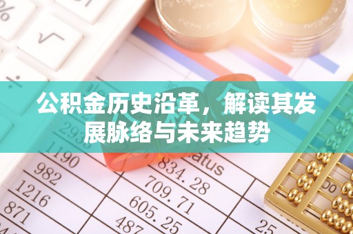 荆州公积金历史沿革，解读其发展脉络与未来趋势