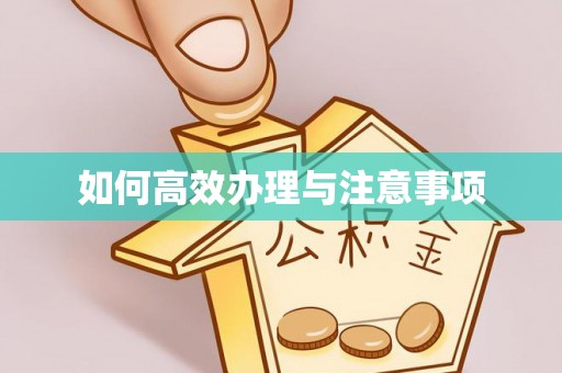 荆州如何高效办理与注意事项