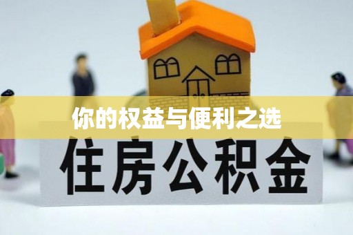 荆州你的权益与便利之选