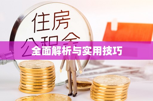 荆州全面解析与实用技巧