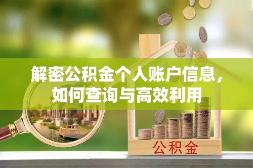 荆州解密公积金个人账户信息，如何查询与高效利用