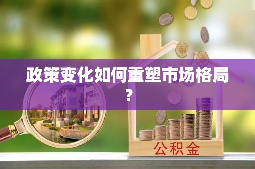 荆州政策变化如何重塑市场格局？