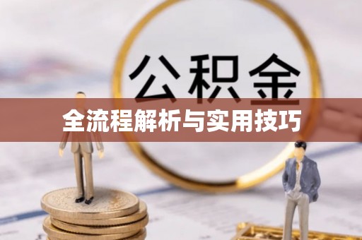 荆州全流程解析与实用技巧