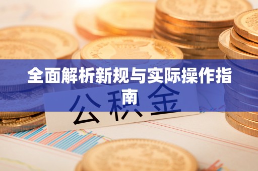 荆州全面解析新规与实际操作指南