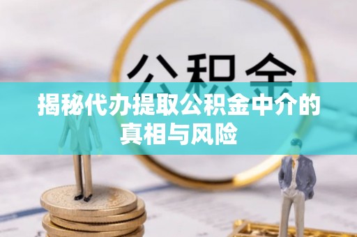 荆州揭秘代办提取公积金中介的真相与风险