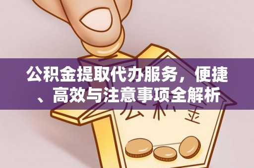 荆州公积金提取代办服务，便捷、高效与注意事项全解析