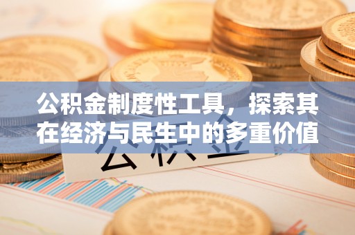 荆州公积金制度性工具，探索其在经济与民生中的多重价值