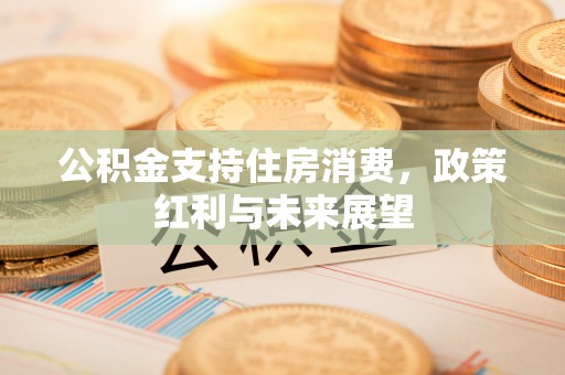荆州公积金支持住房消费，政策红利与未来展望