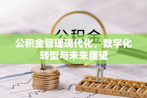 荆州公积金管理现代化，数字化转型与未来展望
