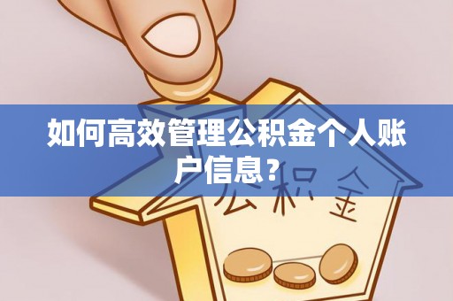 荆州如何高效管理公积金个人账户信息？