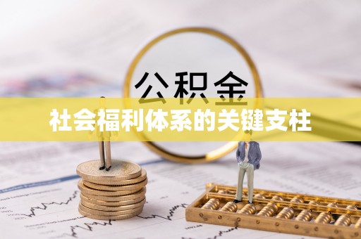 荆州社会福利体系的关键支柱