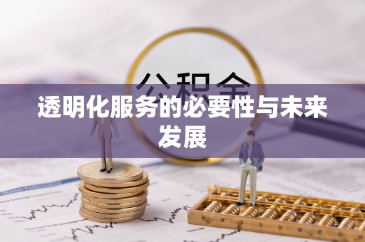 荆州透明化服务的必要性与未来发展
