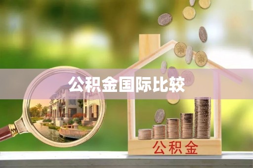 荆州公积金国际比较