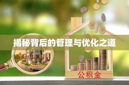 荆州揭秘背后的管理与优化之道
