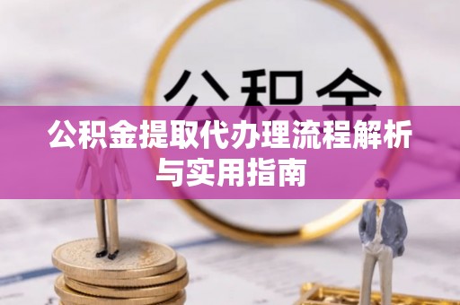 荆州公积金提取代办理流程解析与实用指南