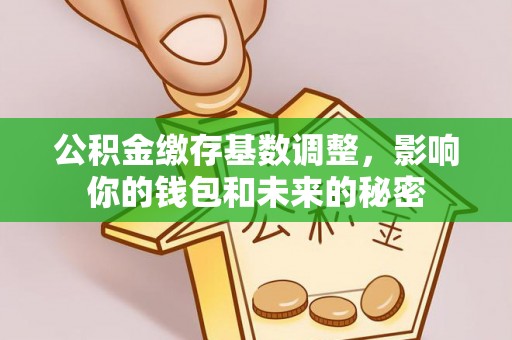 荆州公积金缴存基数调整，影响你的钱包和未来的秘密
