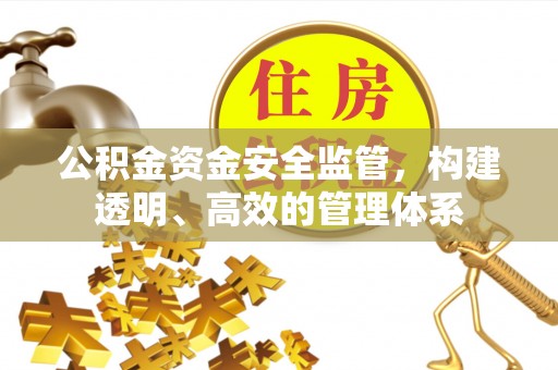 荆州公积金资金安全监管，构建透明、高效的管理体系