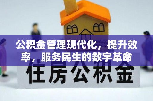 荆州公积金管理现代化，提升效率，服务民生的数字革命
