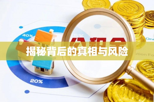 荆州揭秘背后的真相与风险