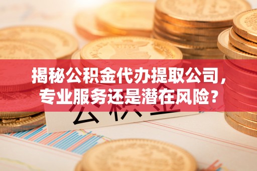 荆州揭秘公积金代办提取公司，专业服务还是潜在风险？
