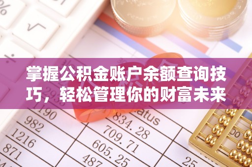 荆州掌握公积金账户余额查询技巧，轻松管理你的财富未来