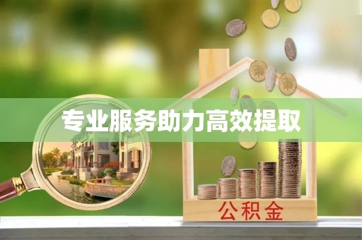荆州专业服务助力高效提取