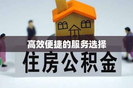 荆州高效便捷的服务选择