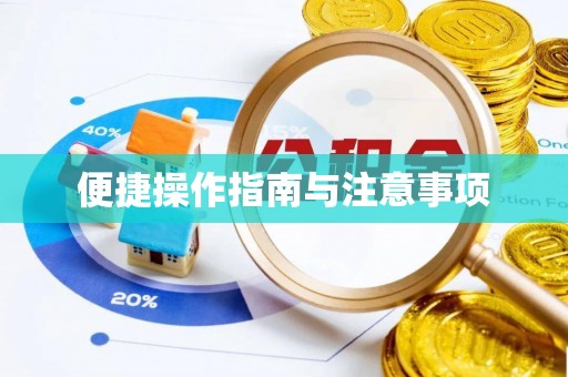 荆州便捷操作指南与注意事项