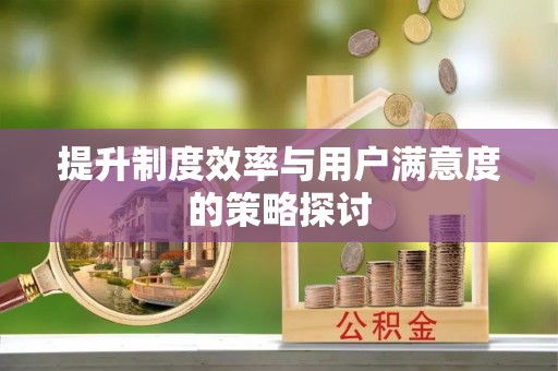 荆州提升制度效率与用户满意度的策略探讨